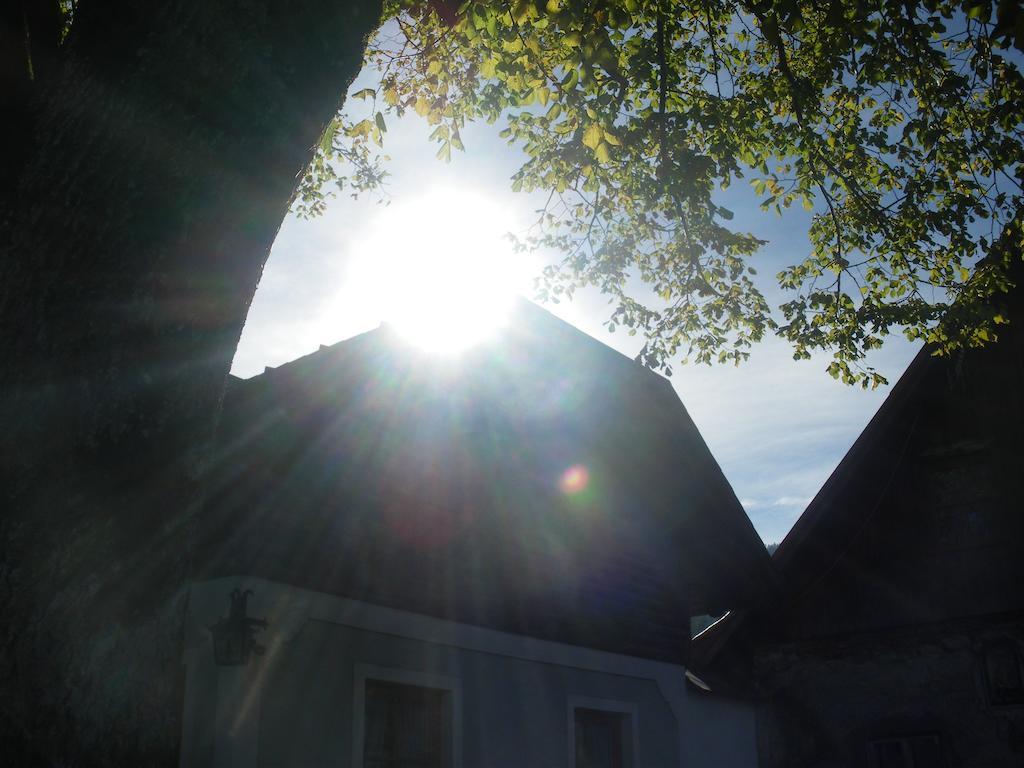 Villa Bio-Bauernhof Kurzeck Göstling an der Ybbs Exterior foto