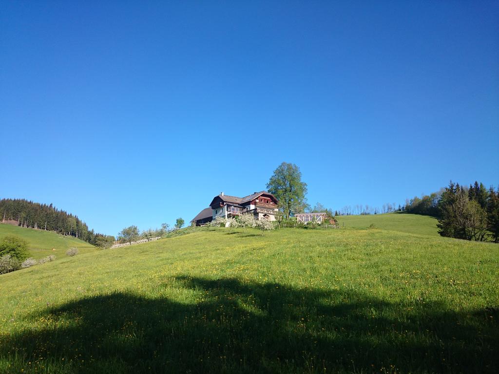 Villa Bio-Bauernhof Kurzeck Göstling an der Ybbs Exterior foto