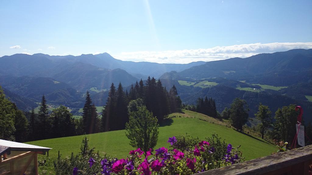 Villa Bio-Bauernhof Kurzeck Göstling an der Ybbs Exterior foto